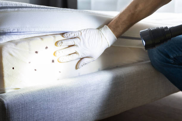 Best Pest Prevention Services  in Battle Creek, MI