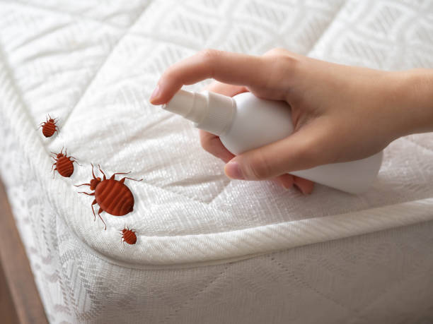 Best Emergency Pest Control  in Battle Creek, MI