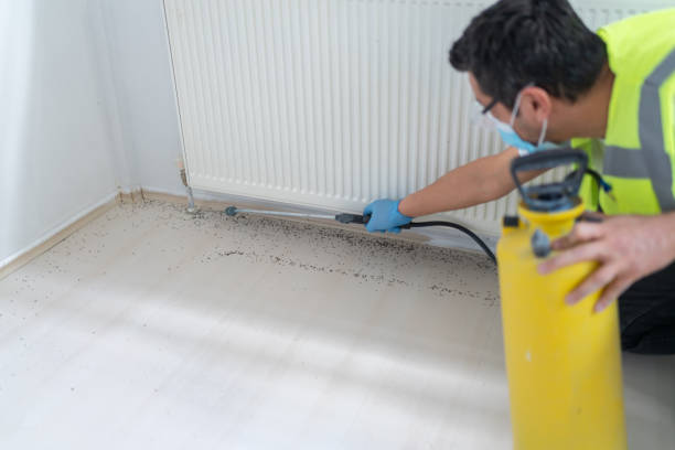 Best Mosquito Control Services  in Battle Creek, MI