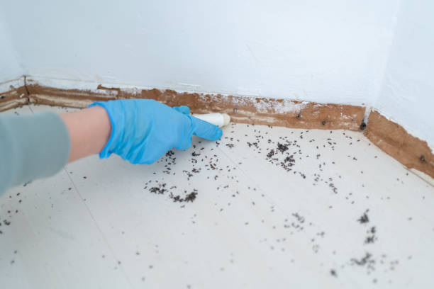 Pest Control for Restaurants in Battle Creek, MI