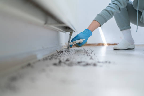 Best Affordable Pest Control Services  in Battle Creek, MI