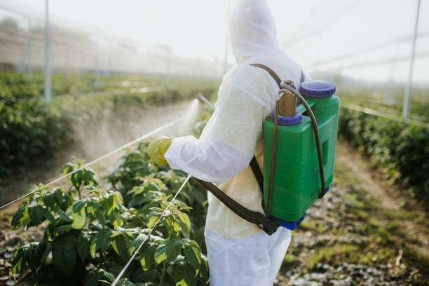  Battle Creek, MI Pest Control Pros